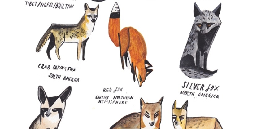 20160316_DickVincent_3_foxes