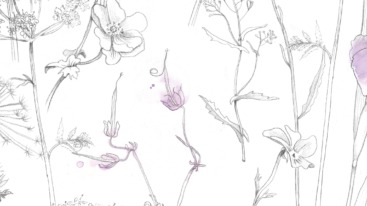 Botanisch-lila-staand