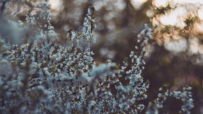 Offline is the new luxury