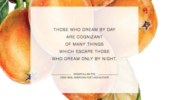 Schermafbeelding 2017-09-08 om 11.31.27