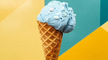 Lessons learned from vacations