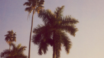 Anticipatory nostalgia