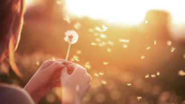 thinking about death