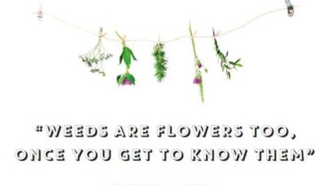 Quote Weeds