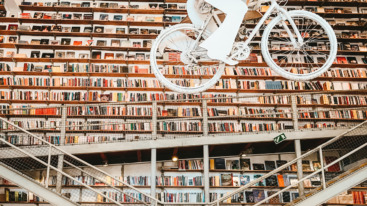 captivating bookstores