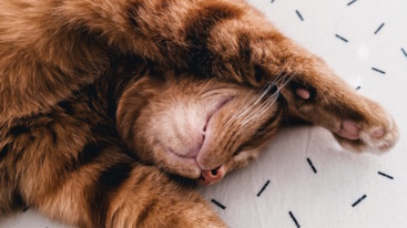 take care of yourself