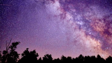 different perspective