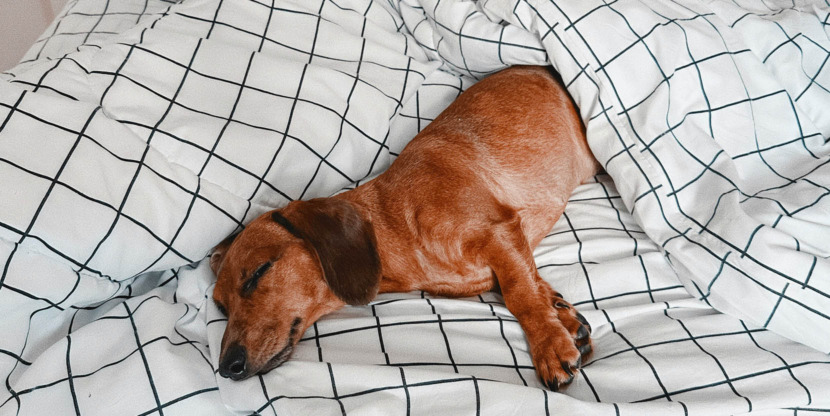 gentle alarm app to wake up calmly with