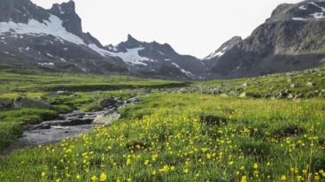 matej-drha-f3yuvwslpok-unsplash