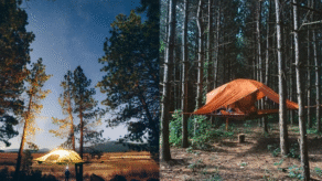 tentsile