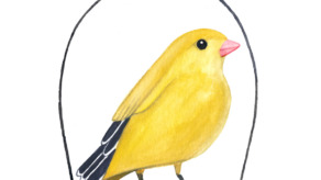 Valesca van Waveren life lessons