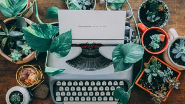 museum of me feature