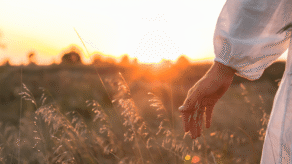 Offline themacampagne